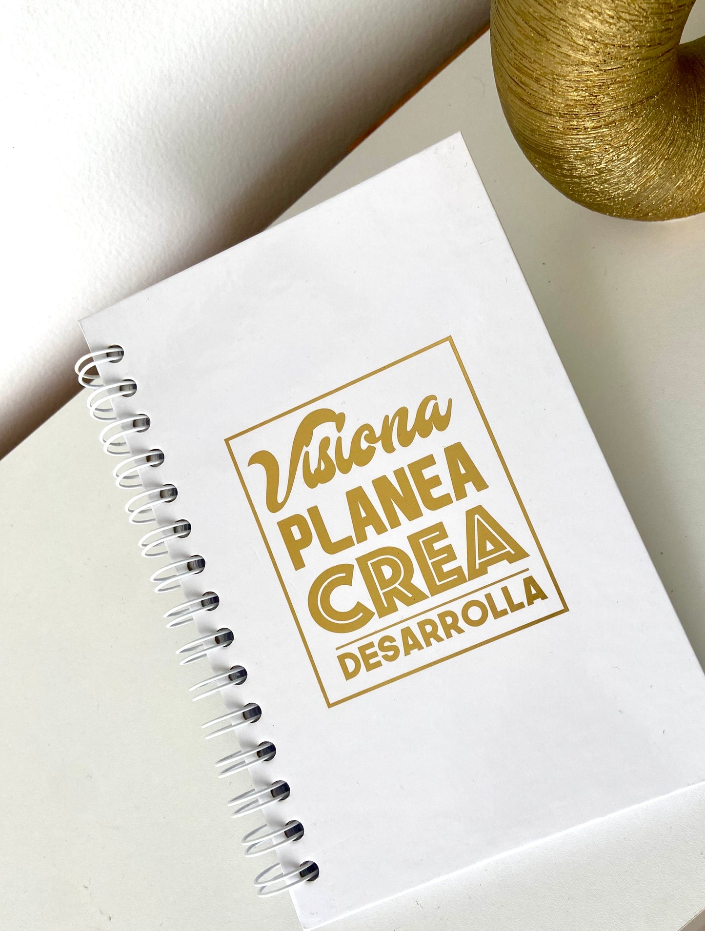 AGENDA VISIONA