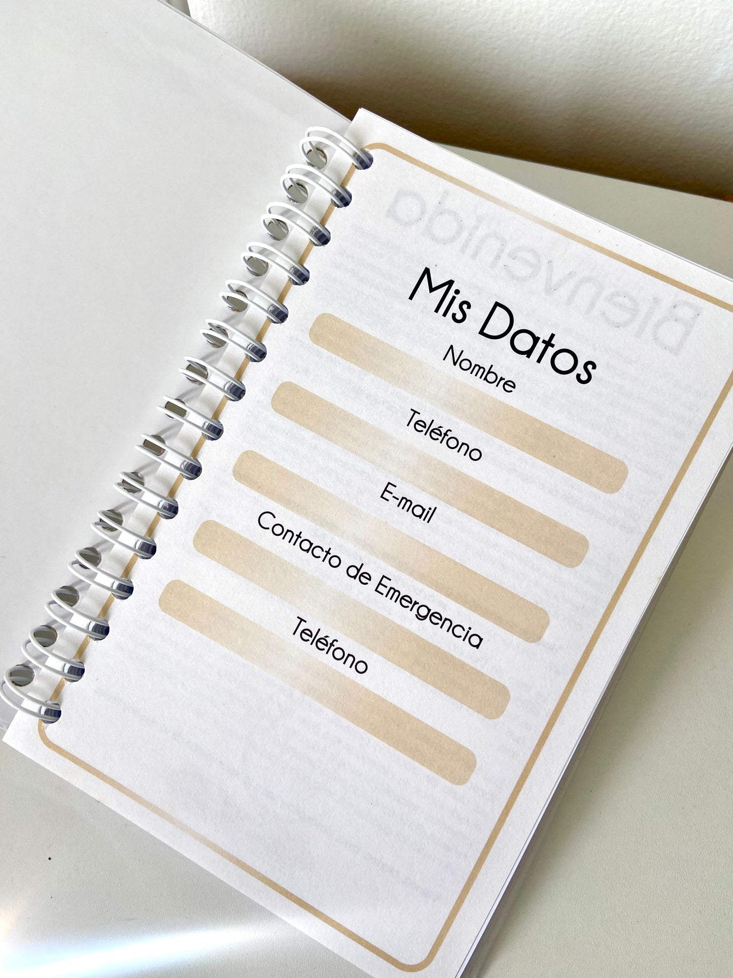 AGENDA VISIONA