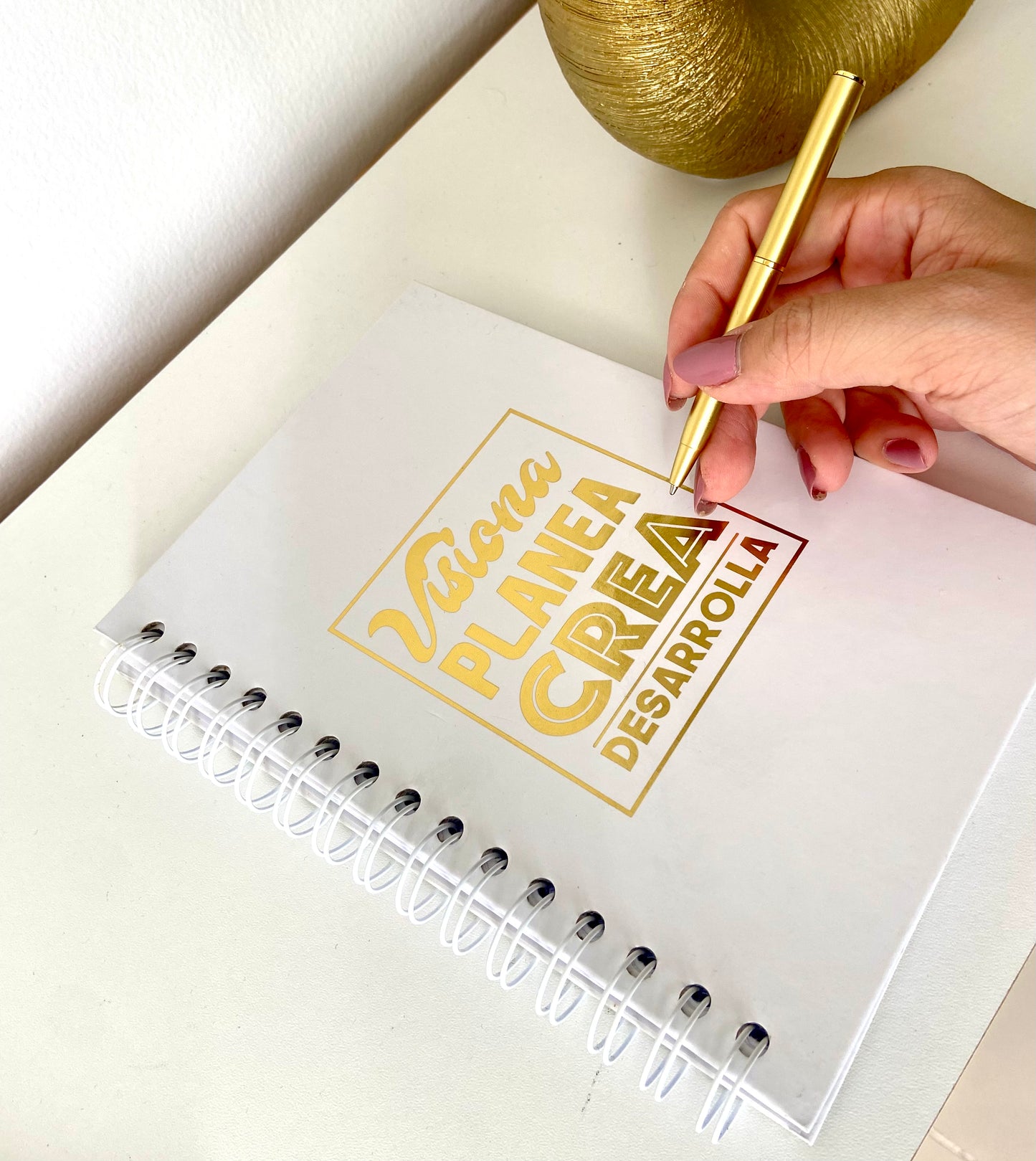 AGENDA VISIONA