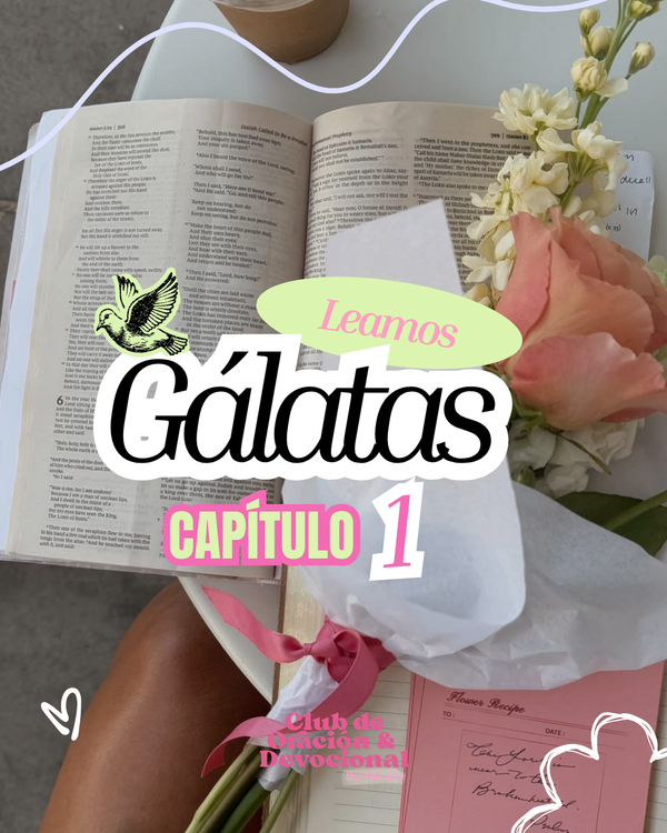 Capítulo 1 gal